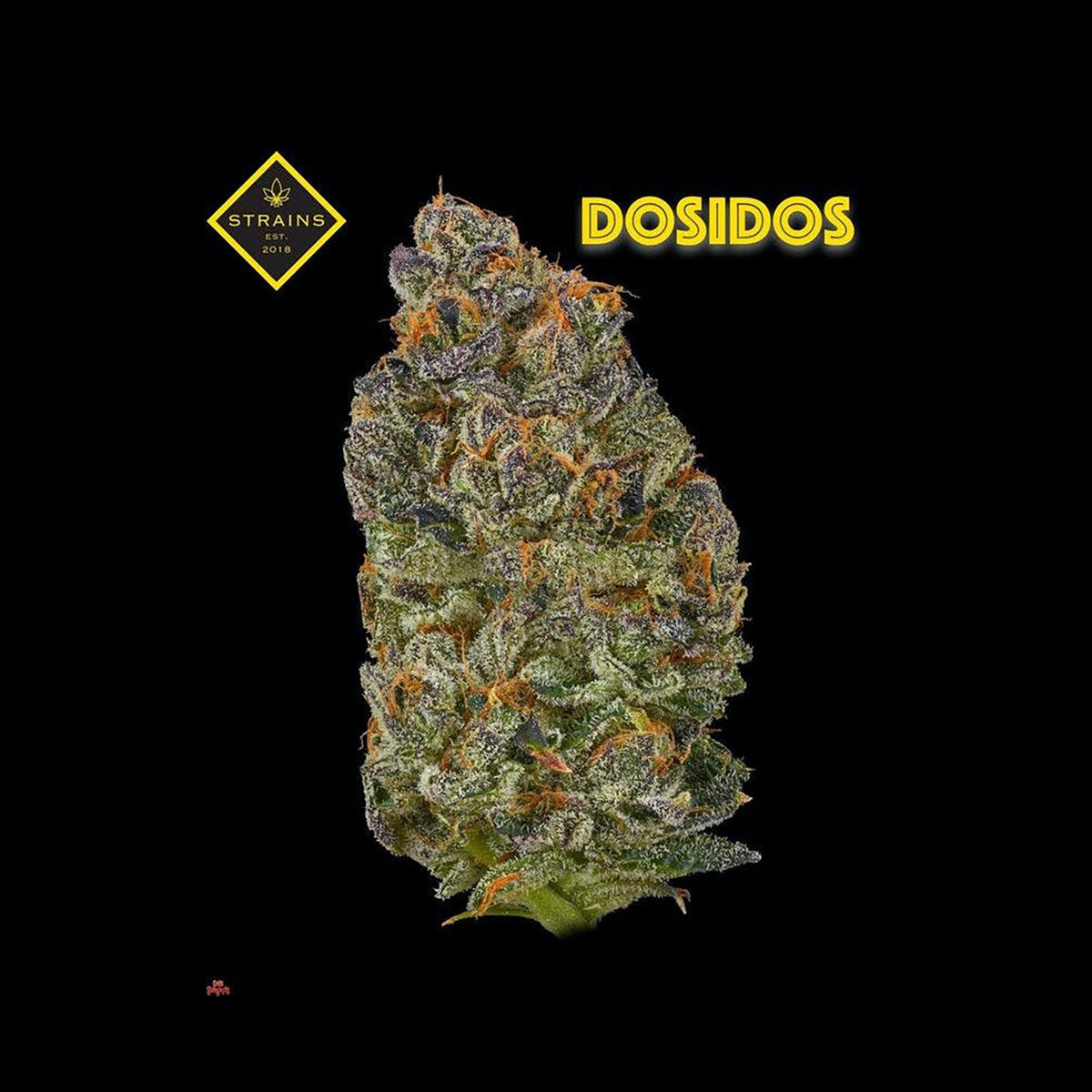 Dos Si Dos 3.5G