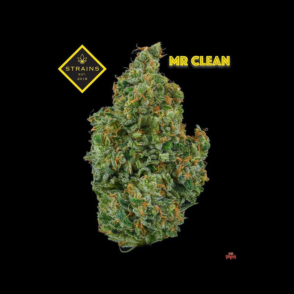 Mr. Clean 3.5g