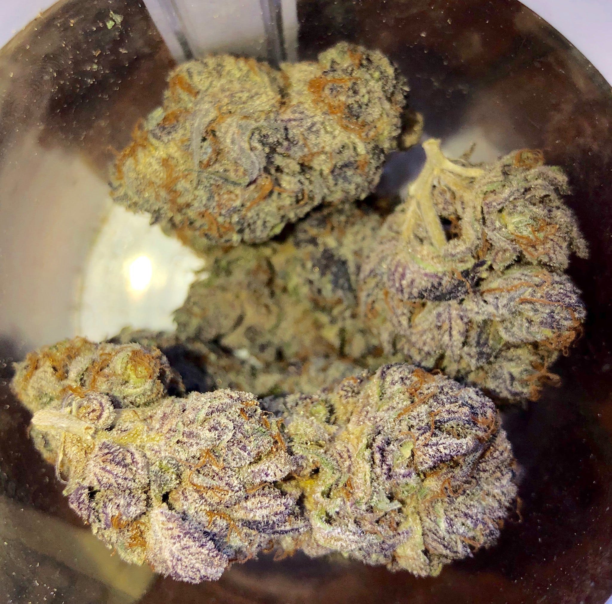 Jack Frost