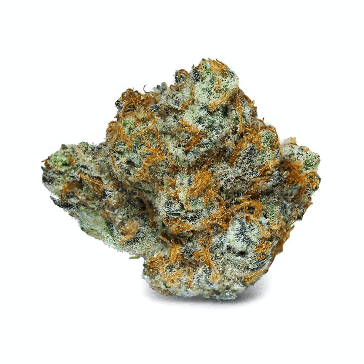 Black Raspberry #23