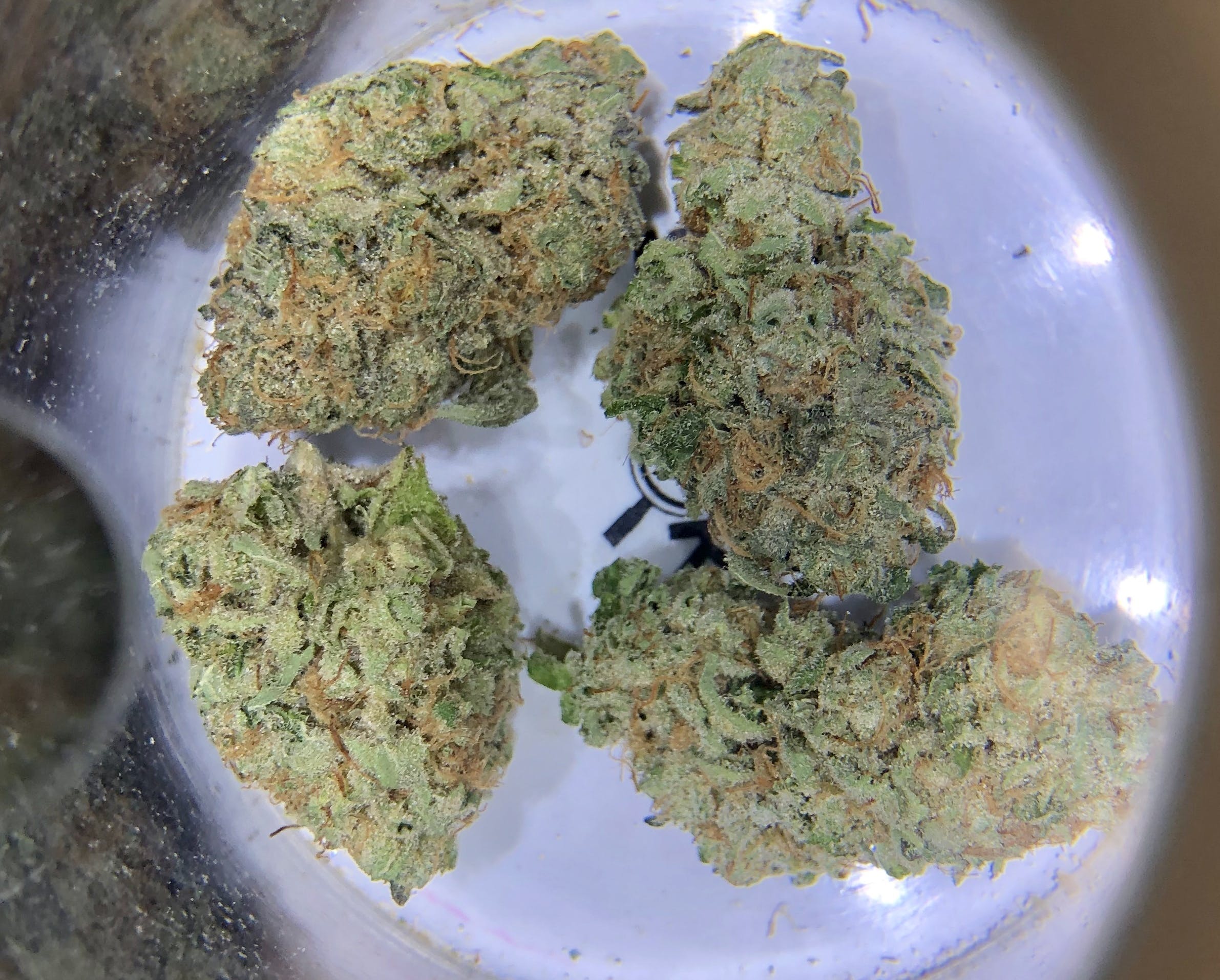 Watermelon Zkittlez