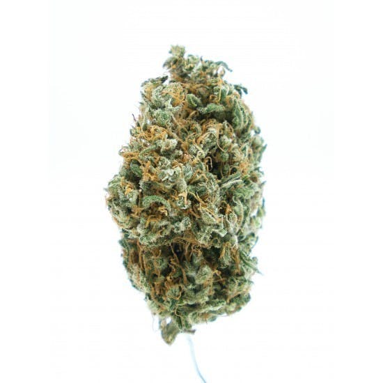 Sour Tangie CBD - 10g