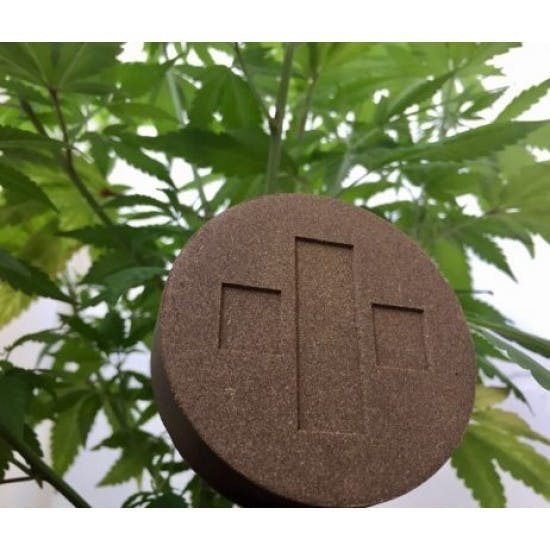 Super Lemon Haze CBD-Pollinat - 10g