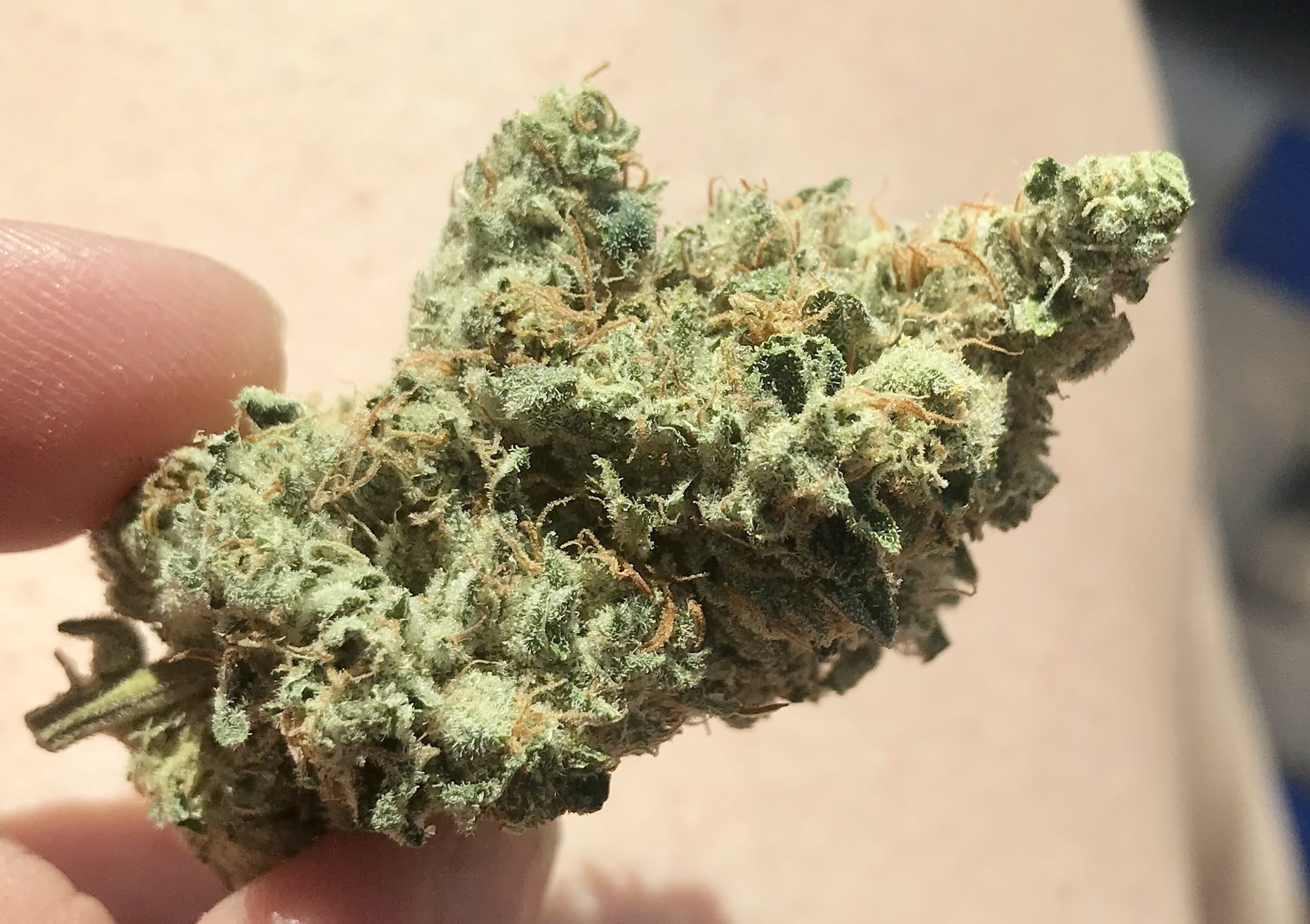 Lemon Bong X Cherry Ghost