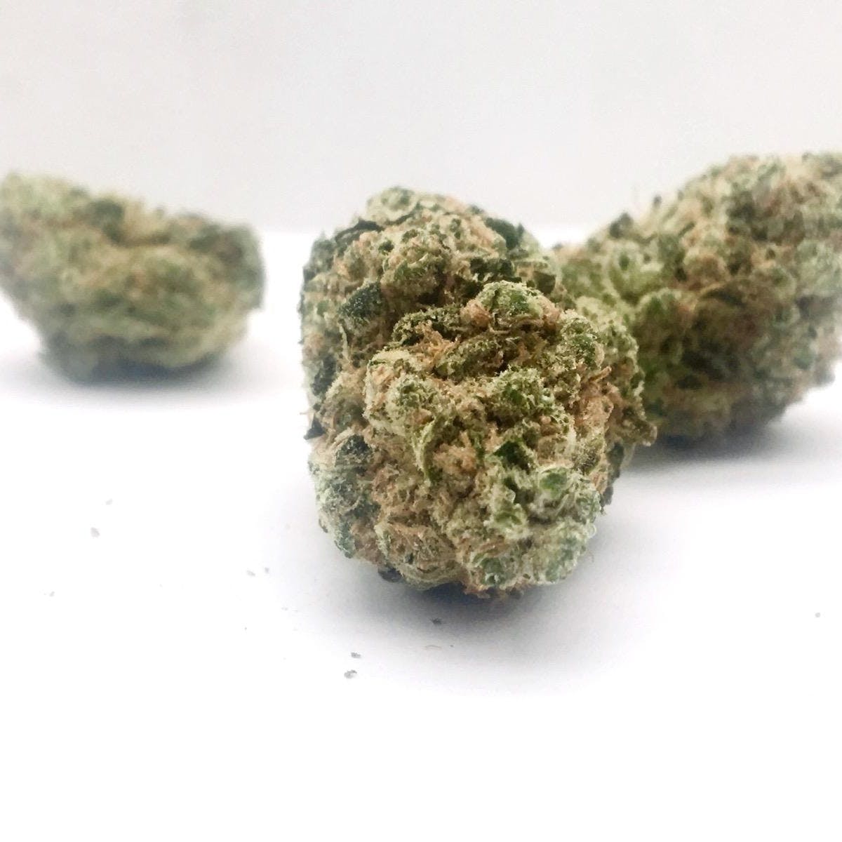 Sour Kush