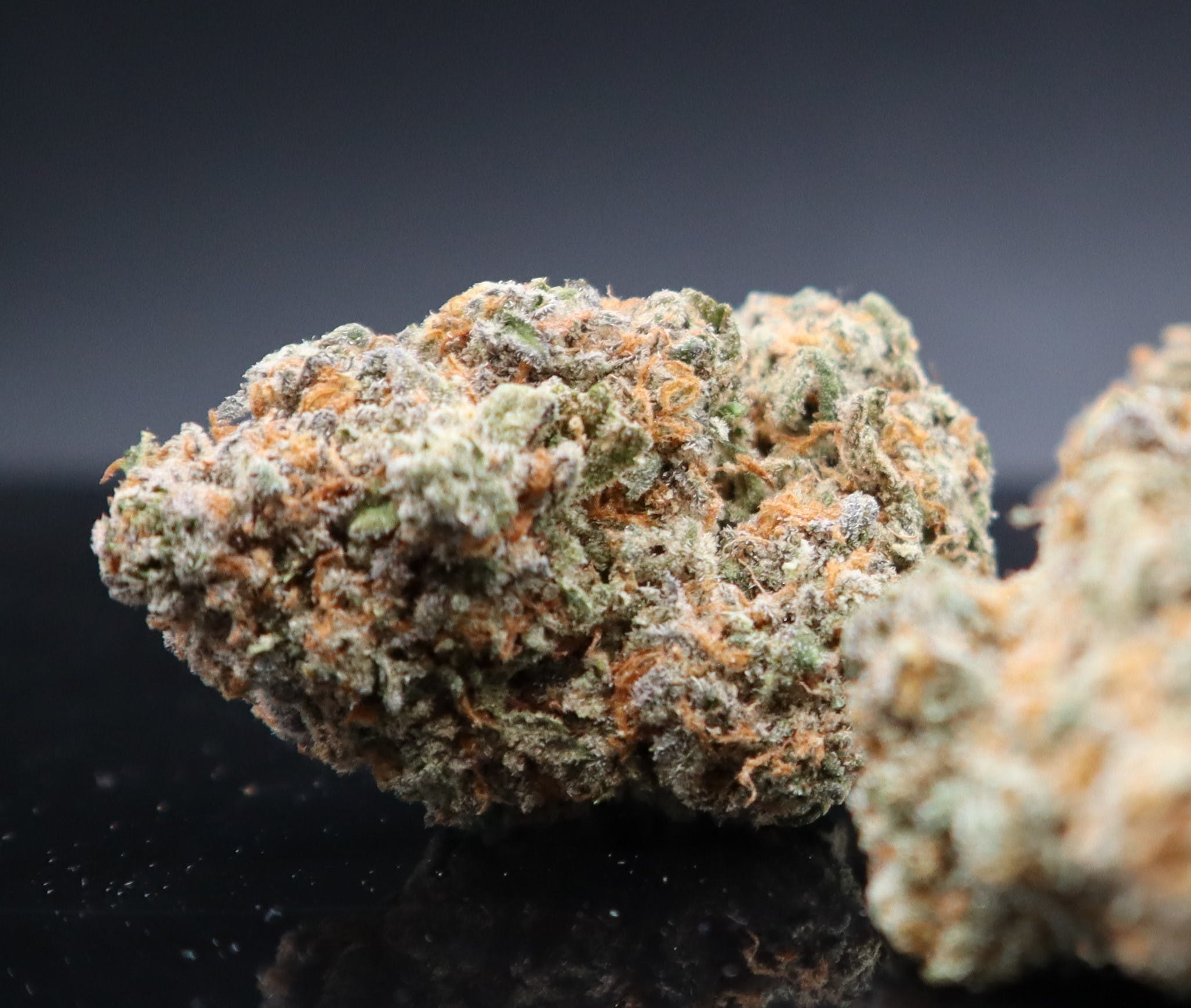 Leroy OG - Private Reserve
