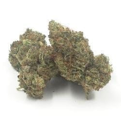 Red Dragon