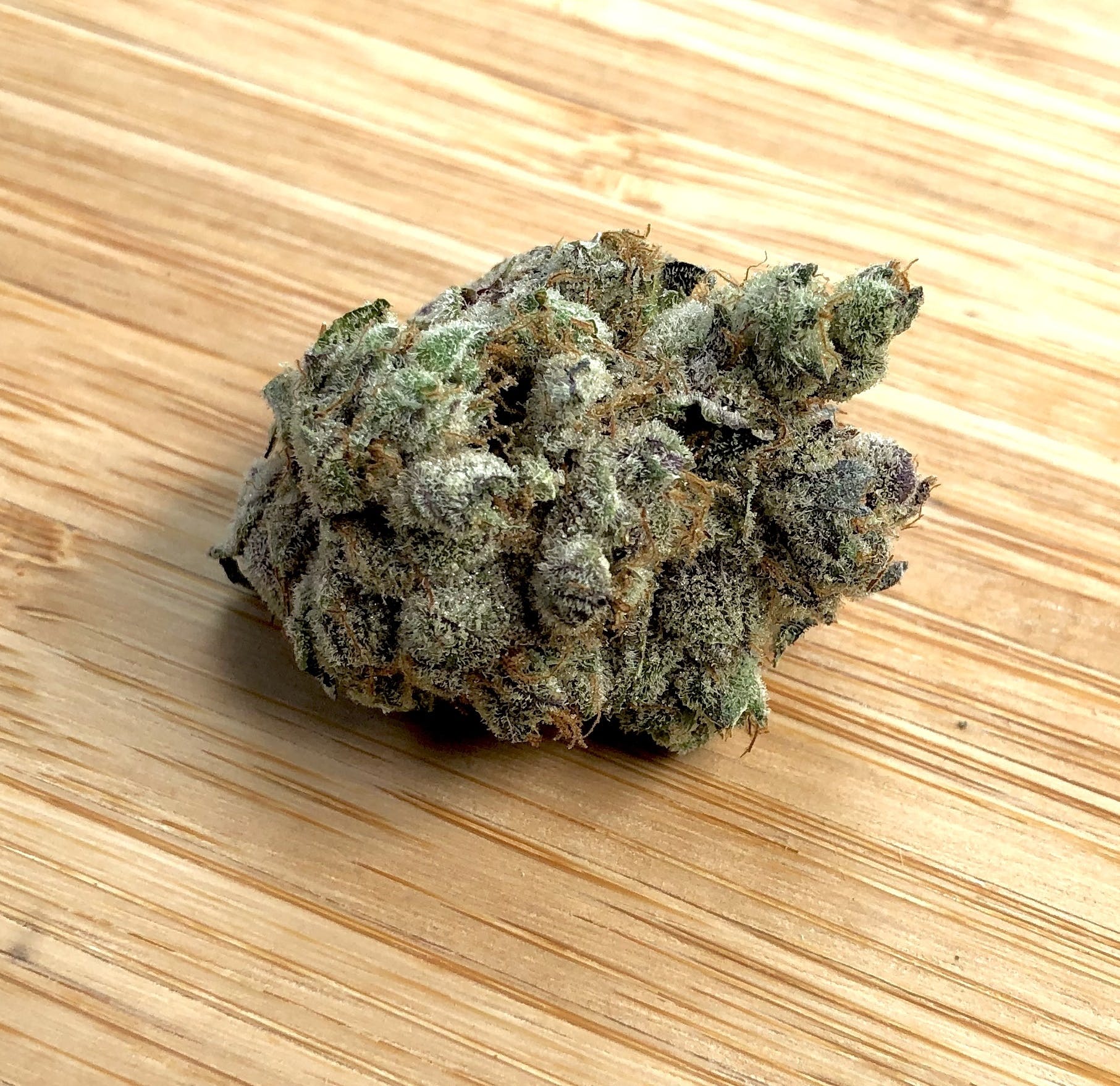 Purple Urkle