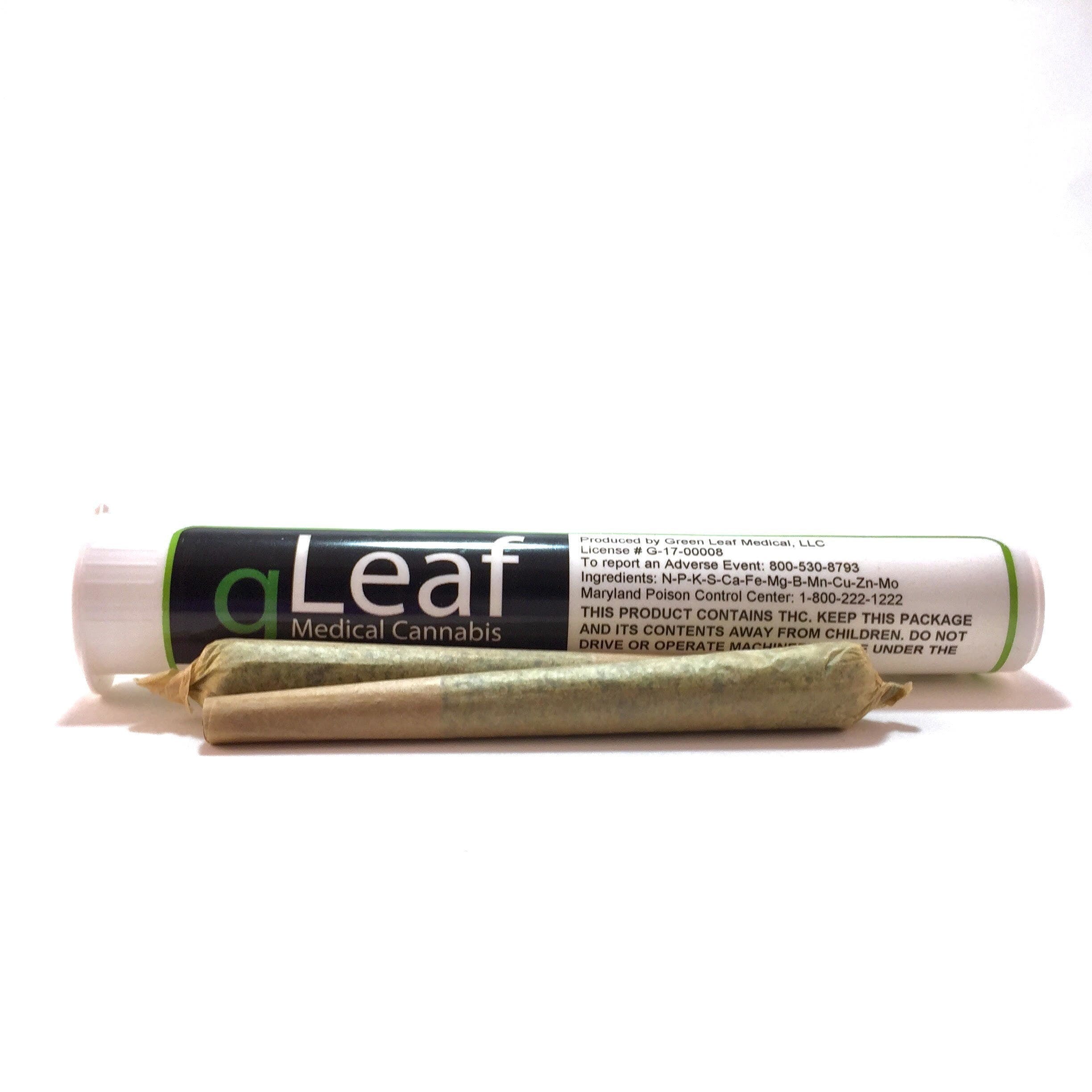 GG#4 Pre Roll