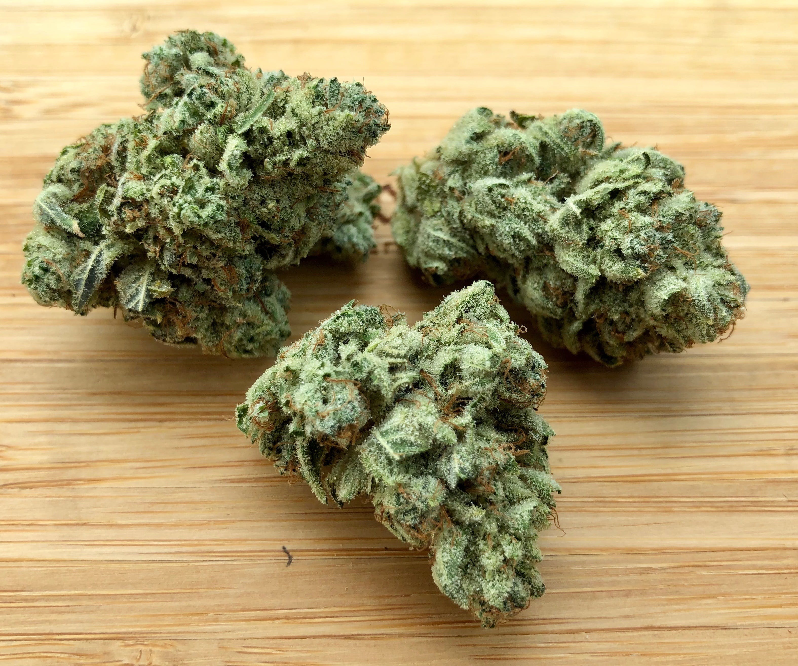 Gorilla Glue # 4