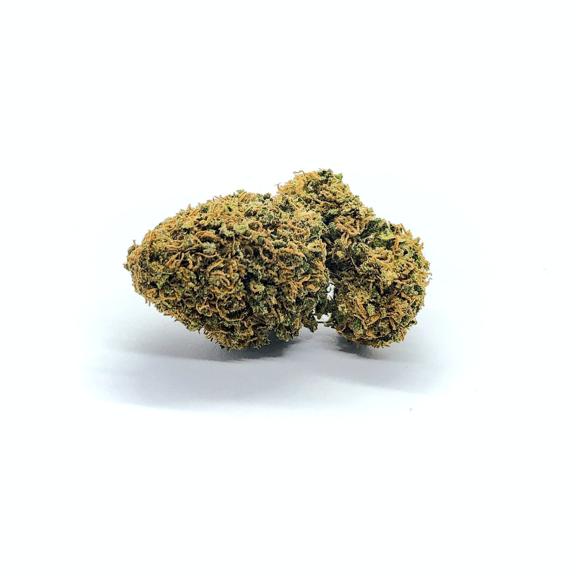 Kush