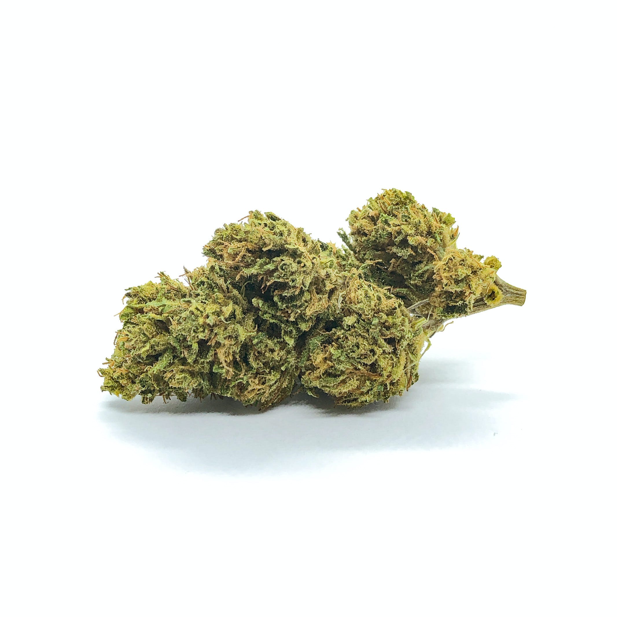 White Widow