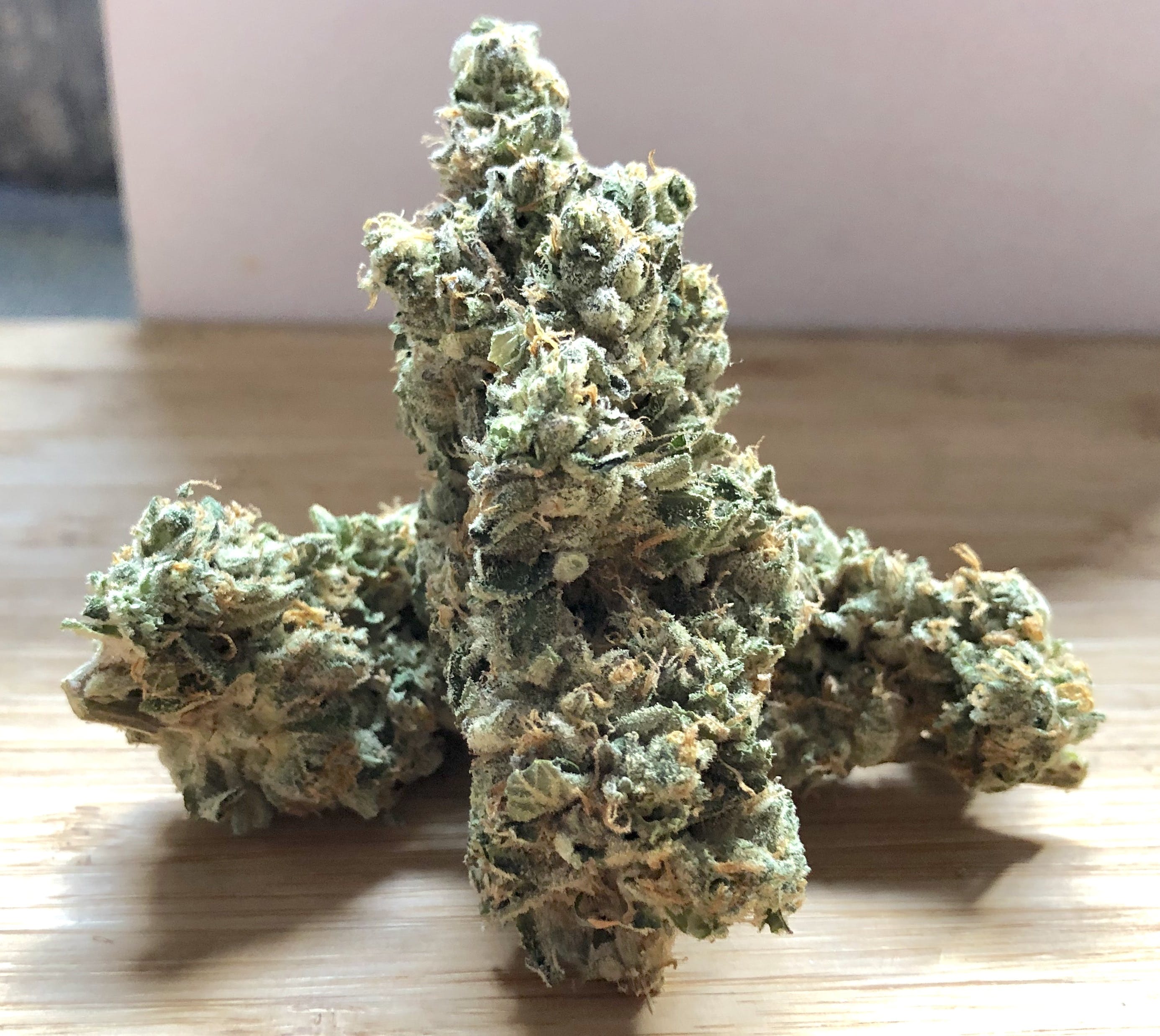 Citrus Tsunami