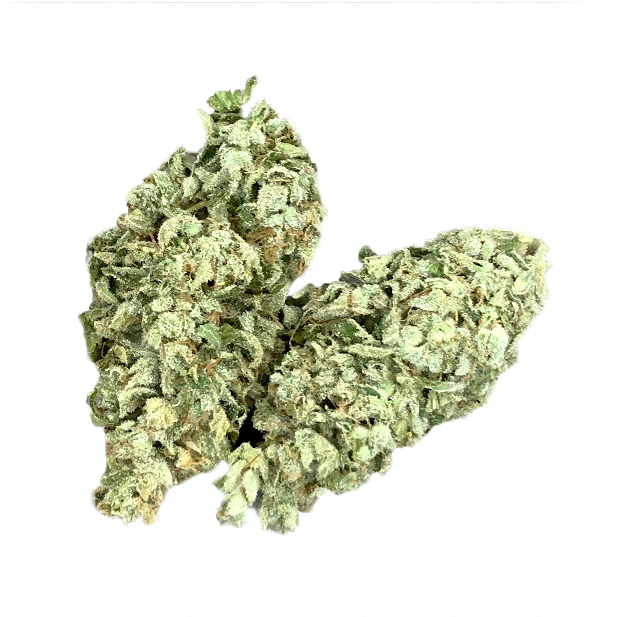 Grease Monkey