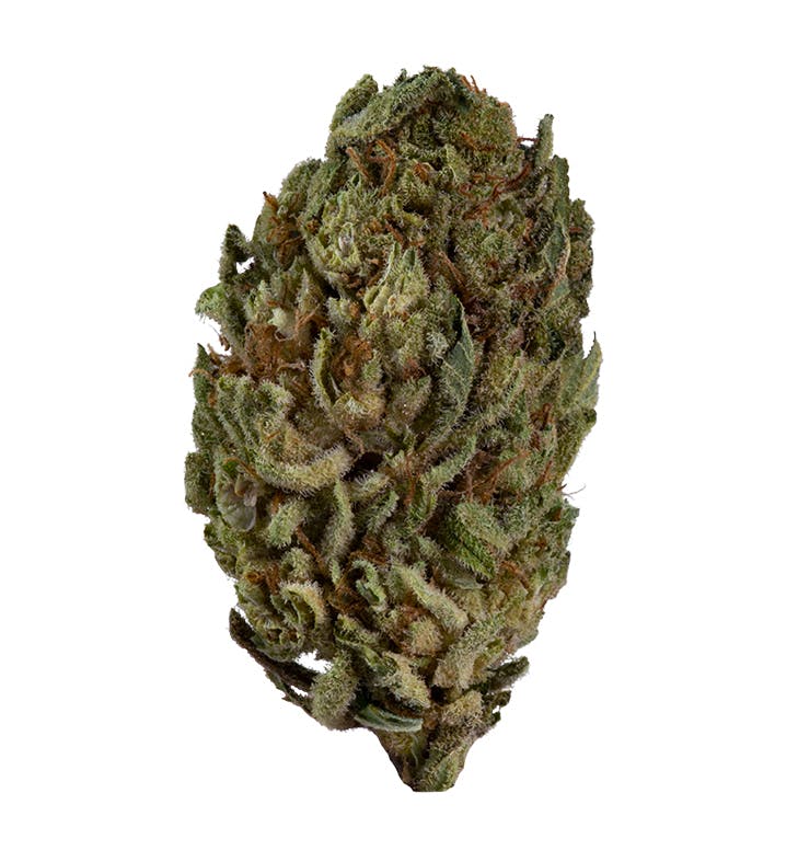 Chronic
