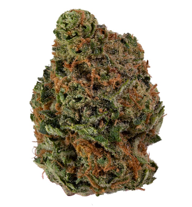 Hindu Kush