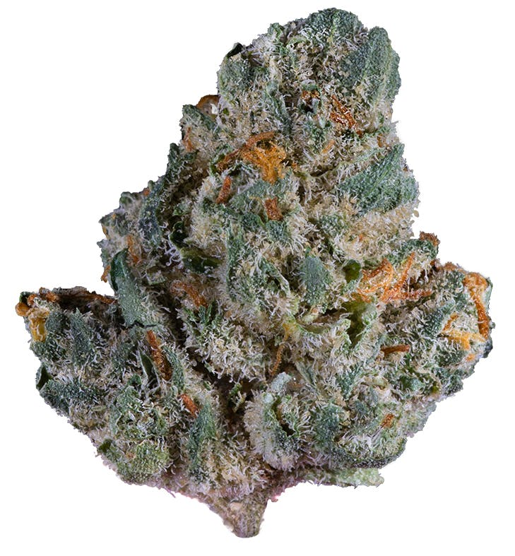 Pre-98 Bubba Kush