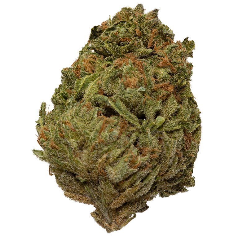 Sweet Critical
