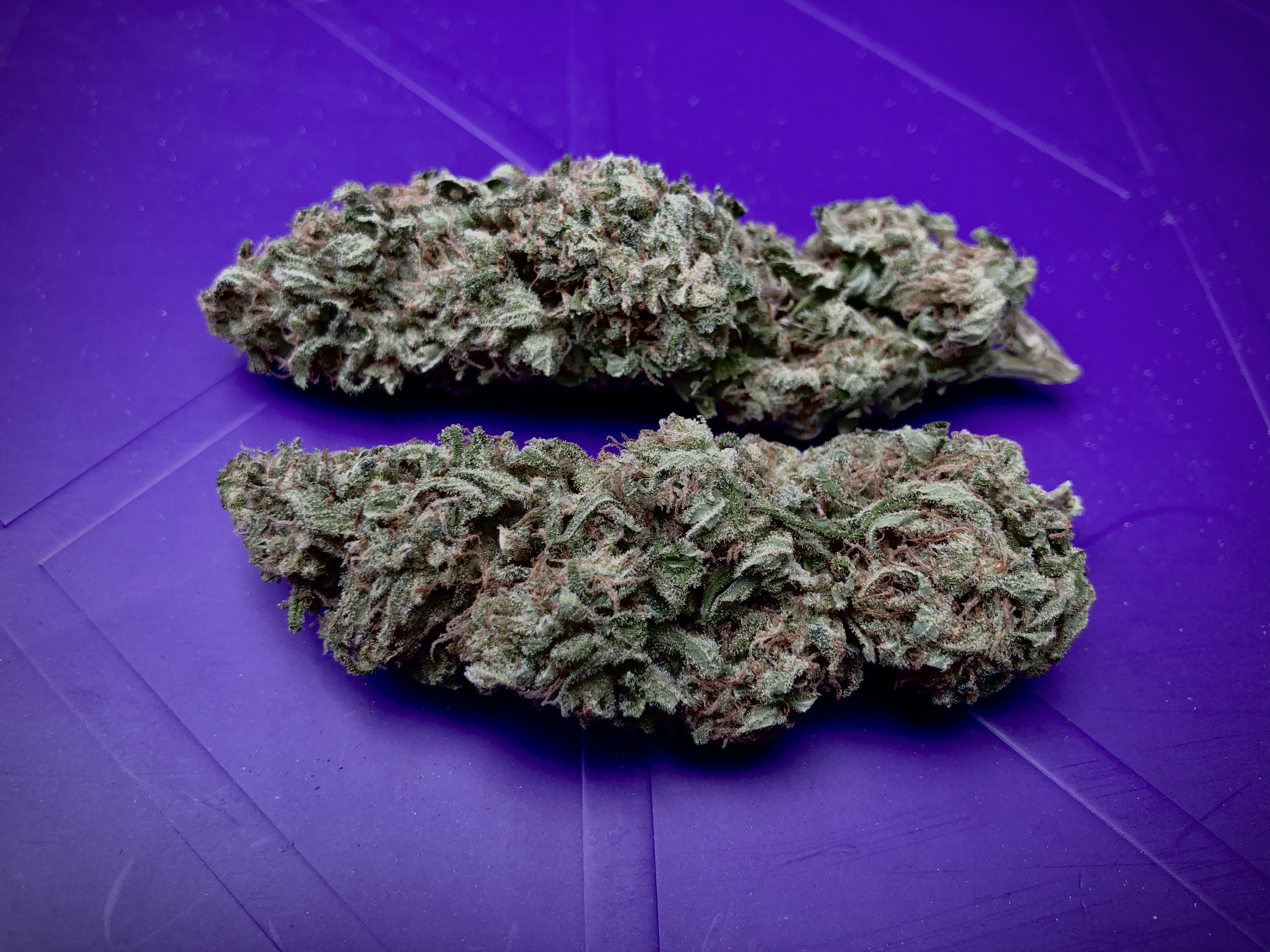 Jack Herer