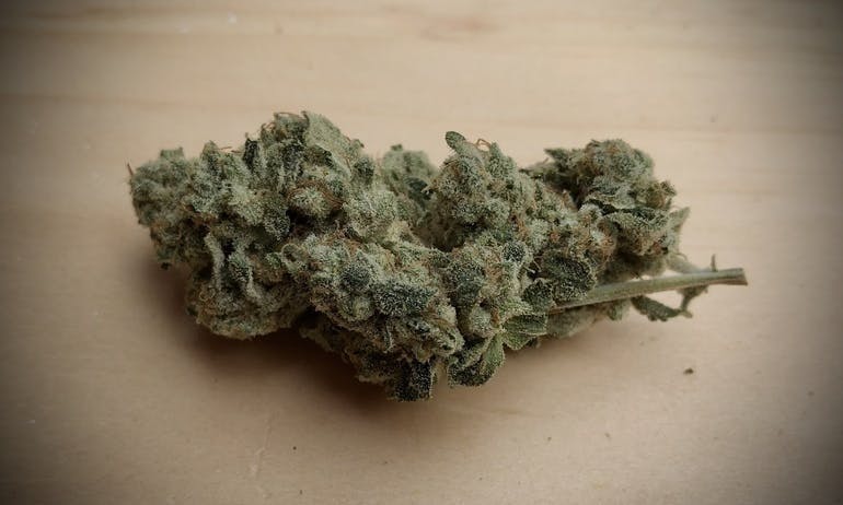 Grease Monkey