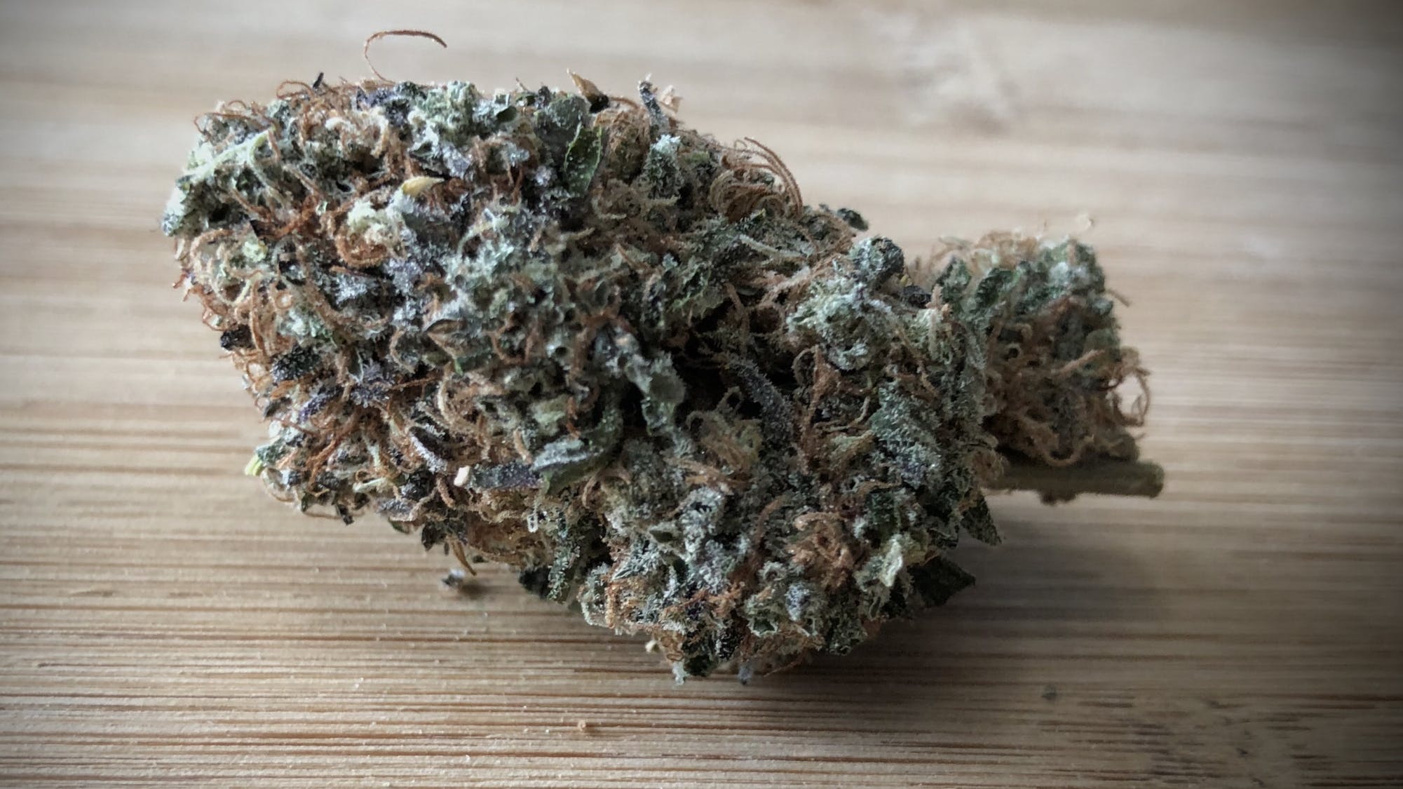 👻 🍒 🥊 Purple Punch x Cherry Ghost 🥊 🍒 👻