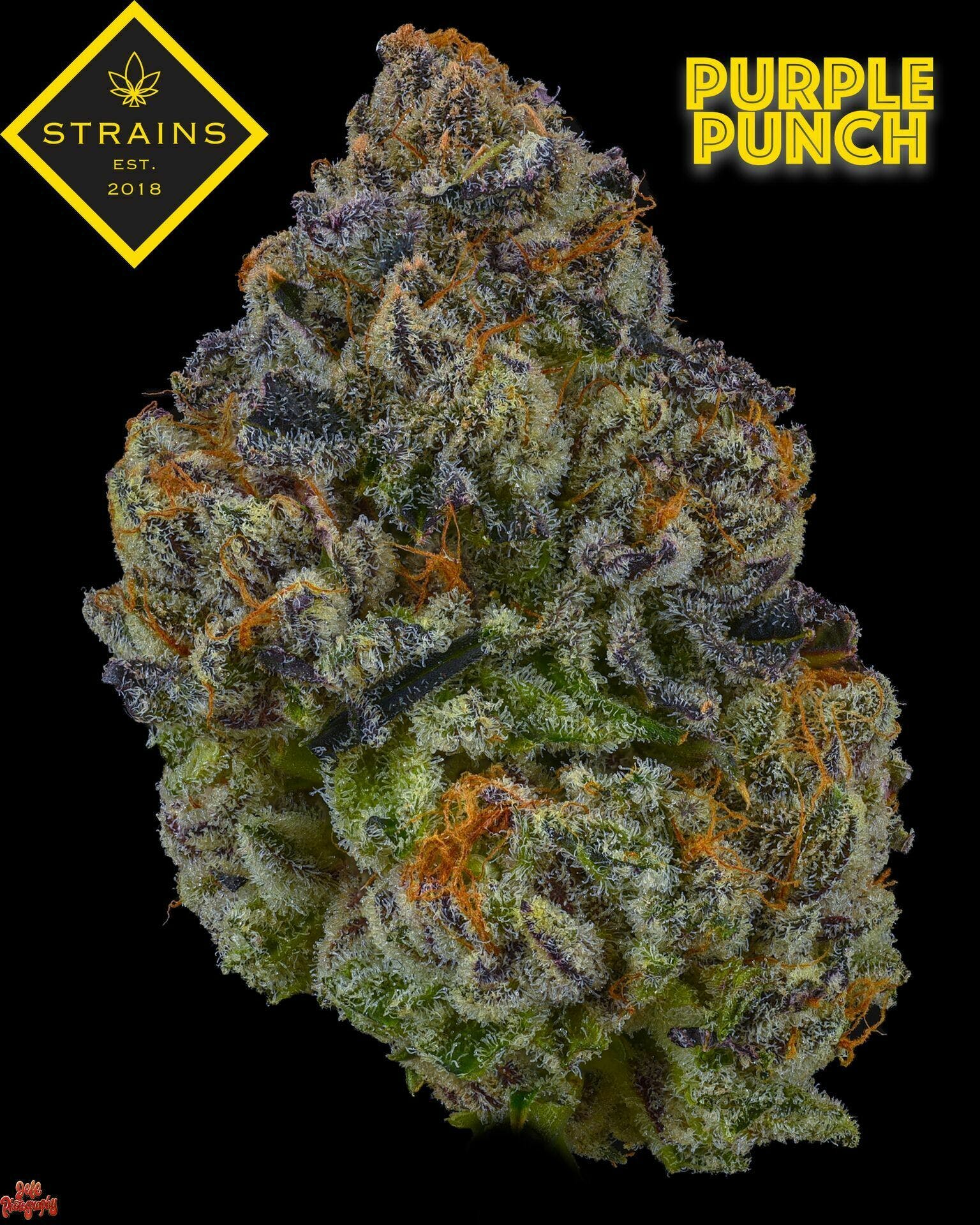 Purple Punch