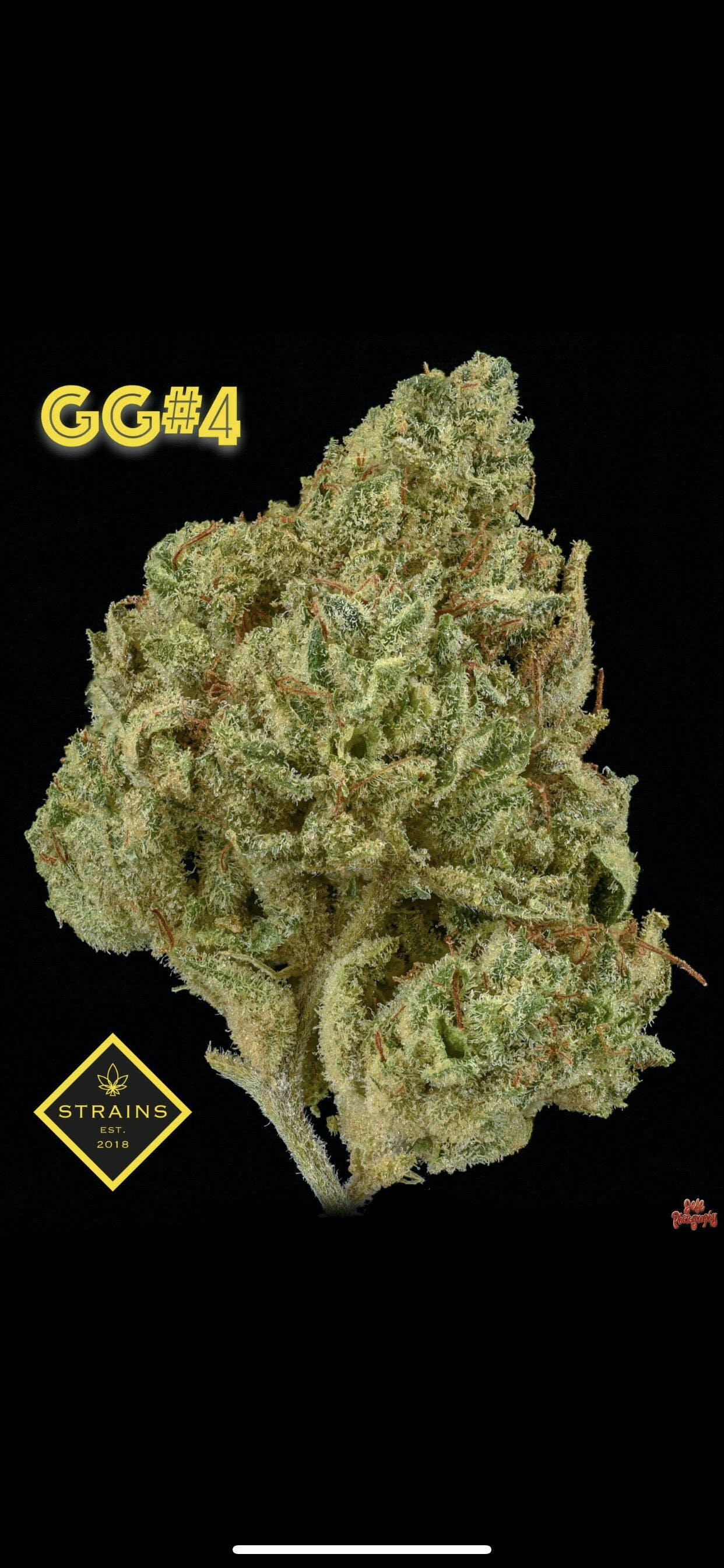 GG4 3.5G