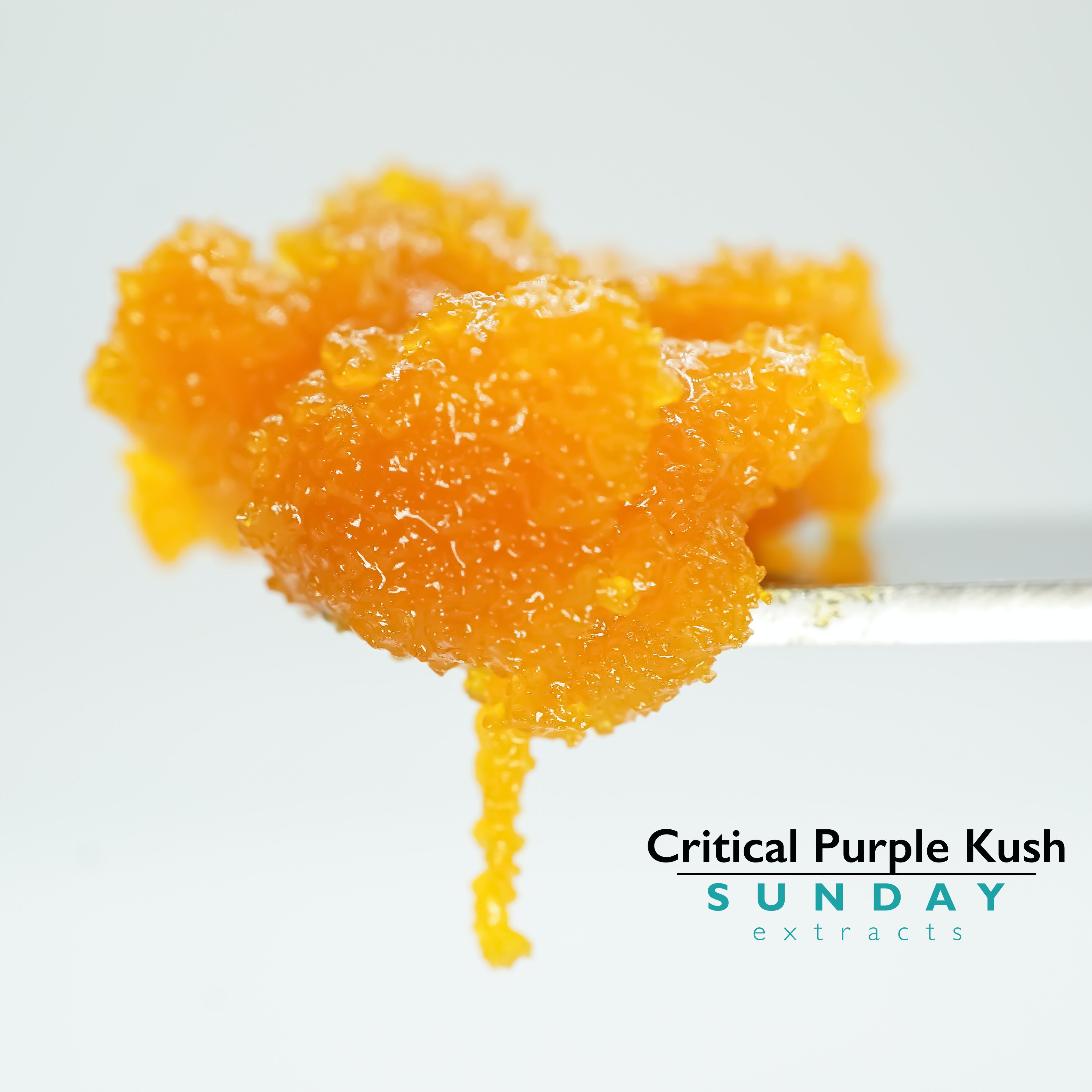 1g Concentrate Cured Resin - Critical Purple Kush