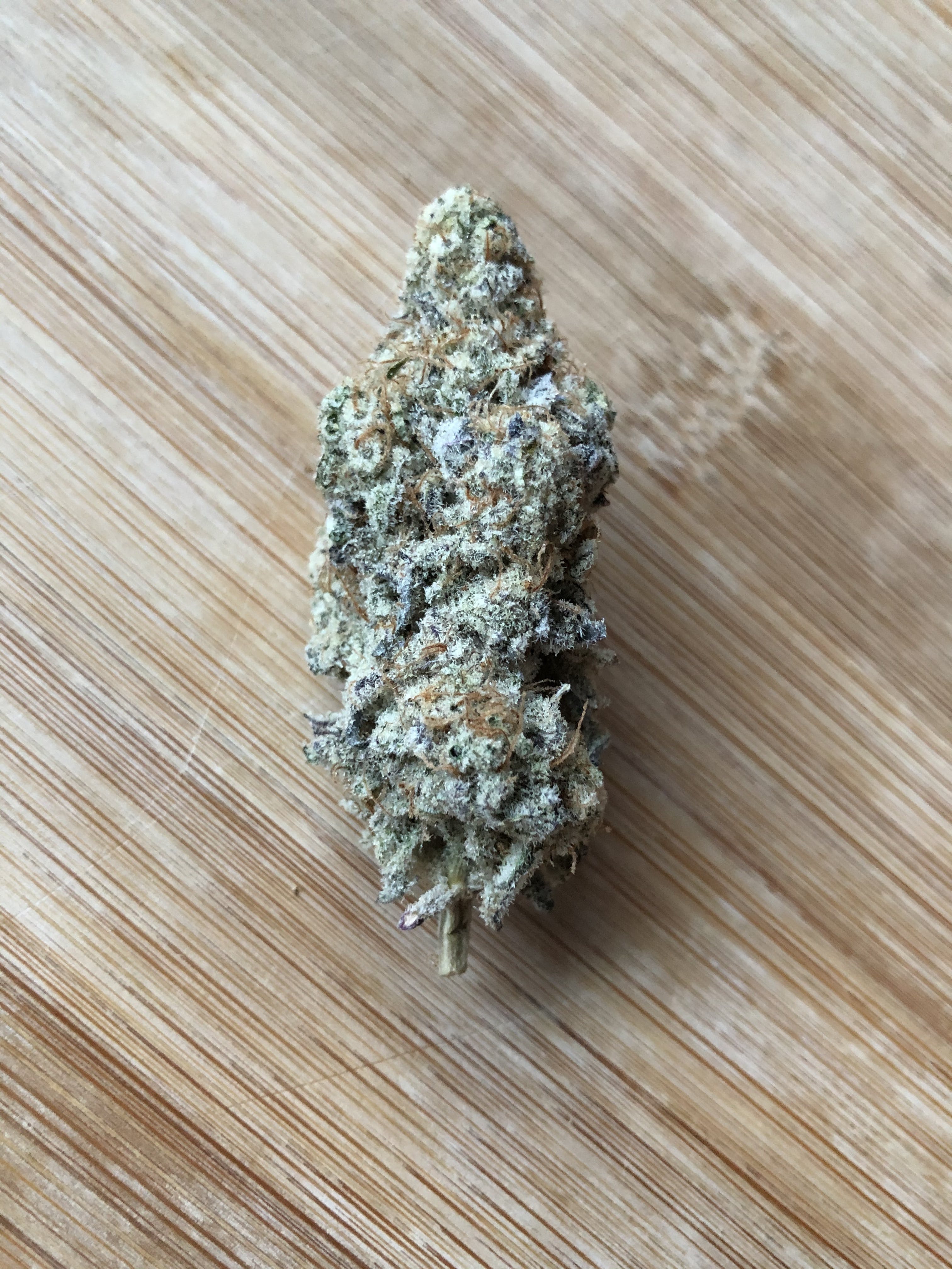 Black Cherry Punch