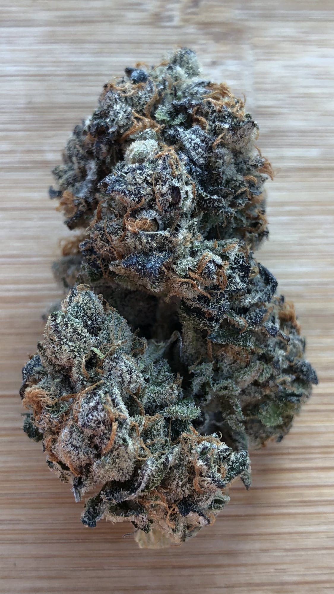 Salmon River OG
