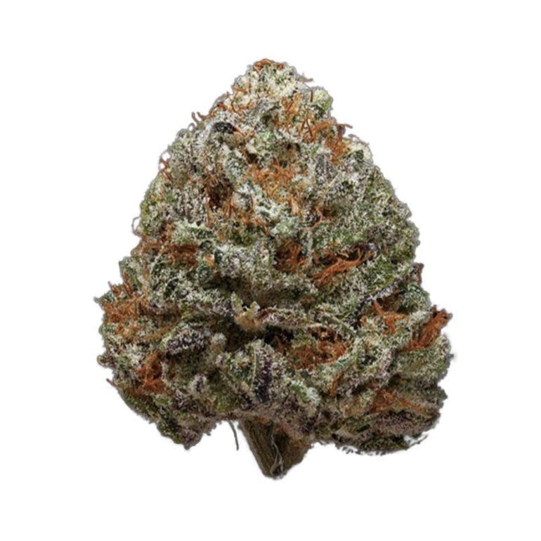 BLUE CHEESE