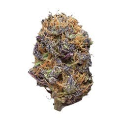 BLUEBERRY SKUNK