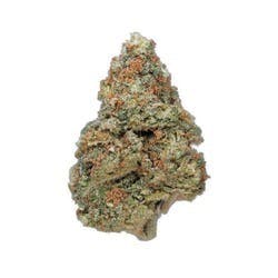 GREASE MONKEY