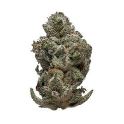 SOUR DIESEL