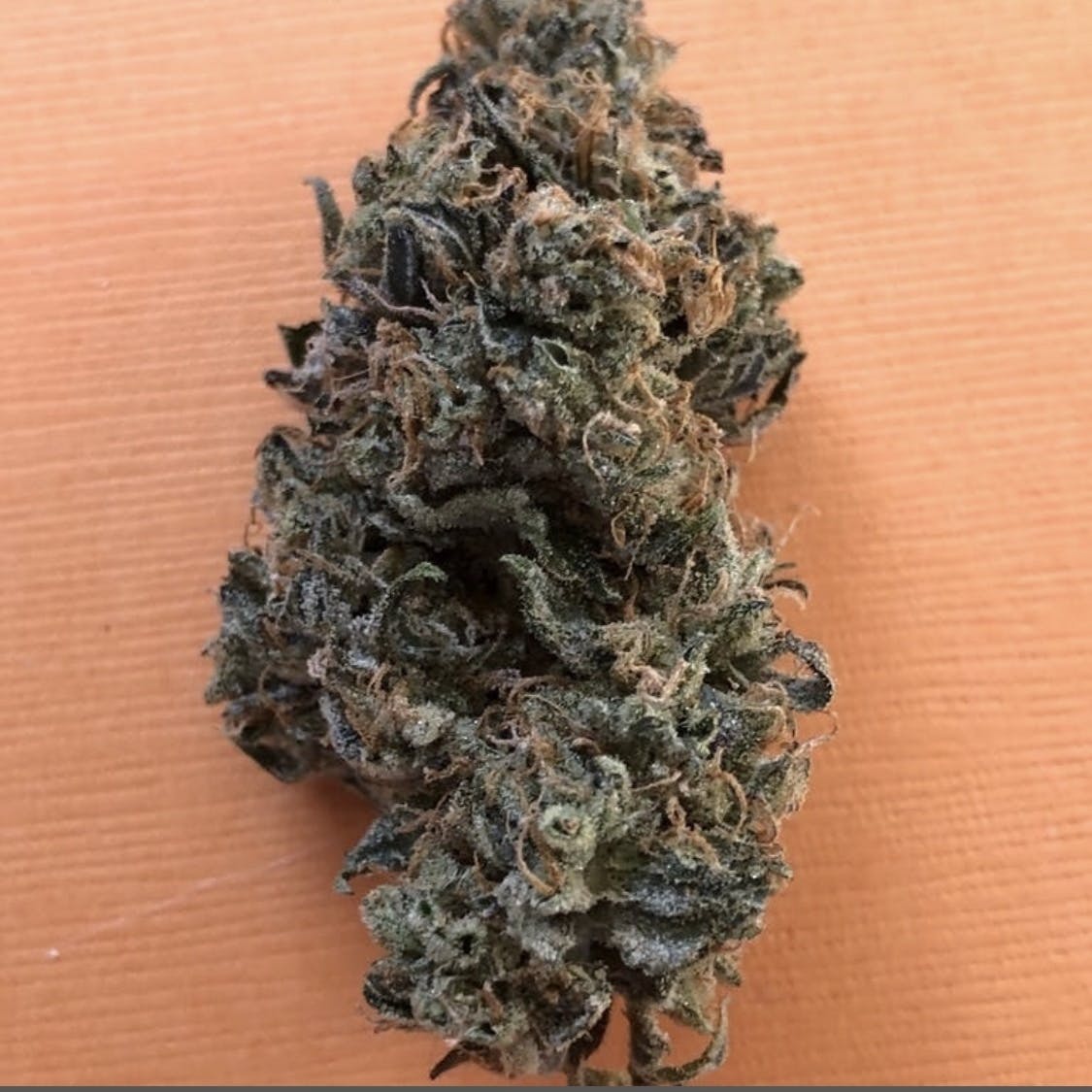 Modified Reunion (Respect OG x GMO)