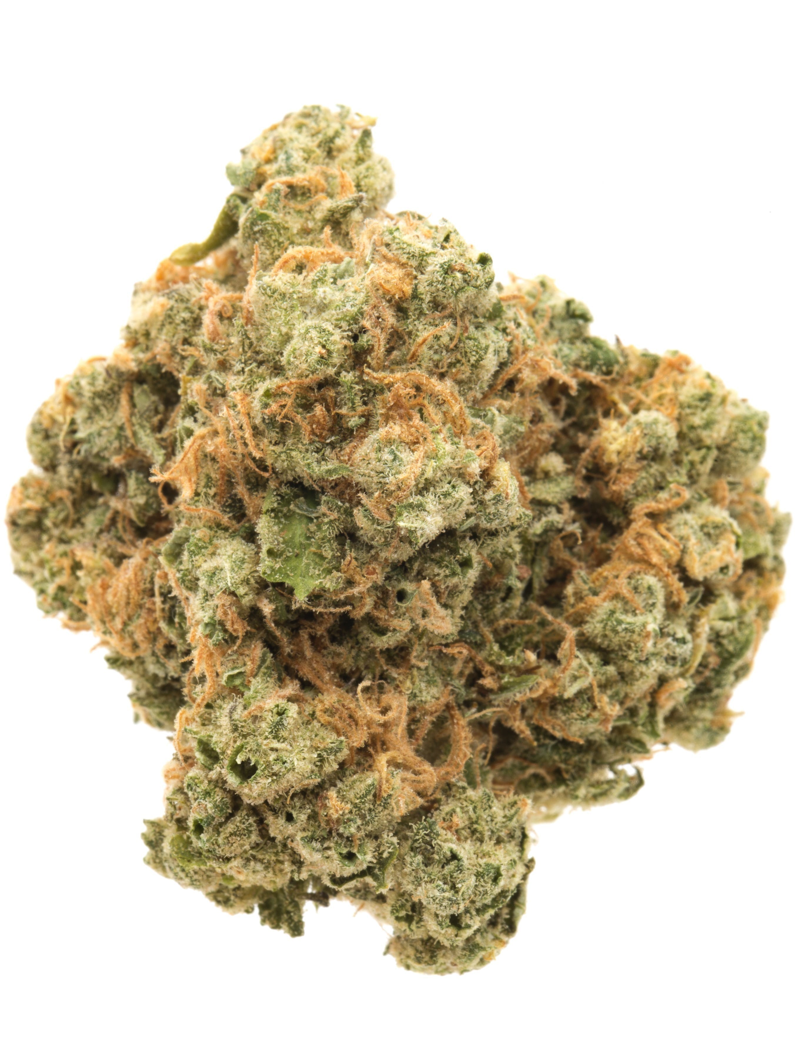ISLAND SWEET SKUNK X SOUR DIESEL