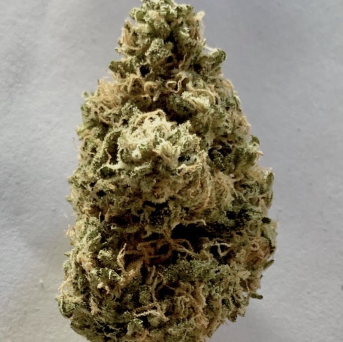 White Widow
