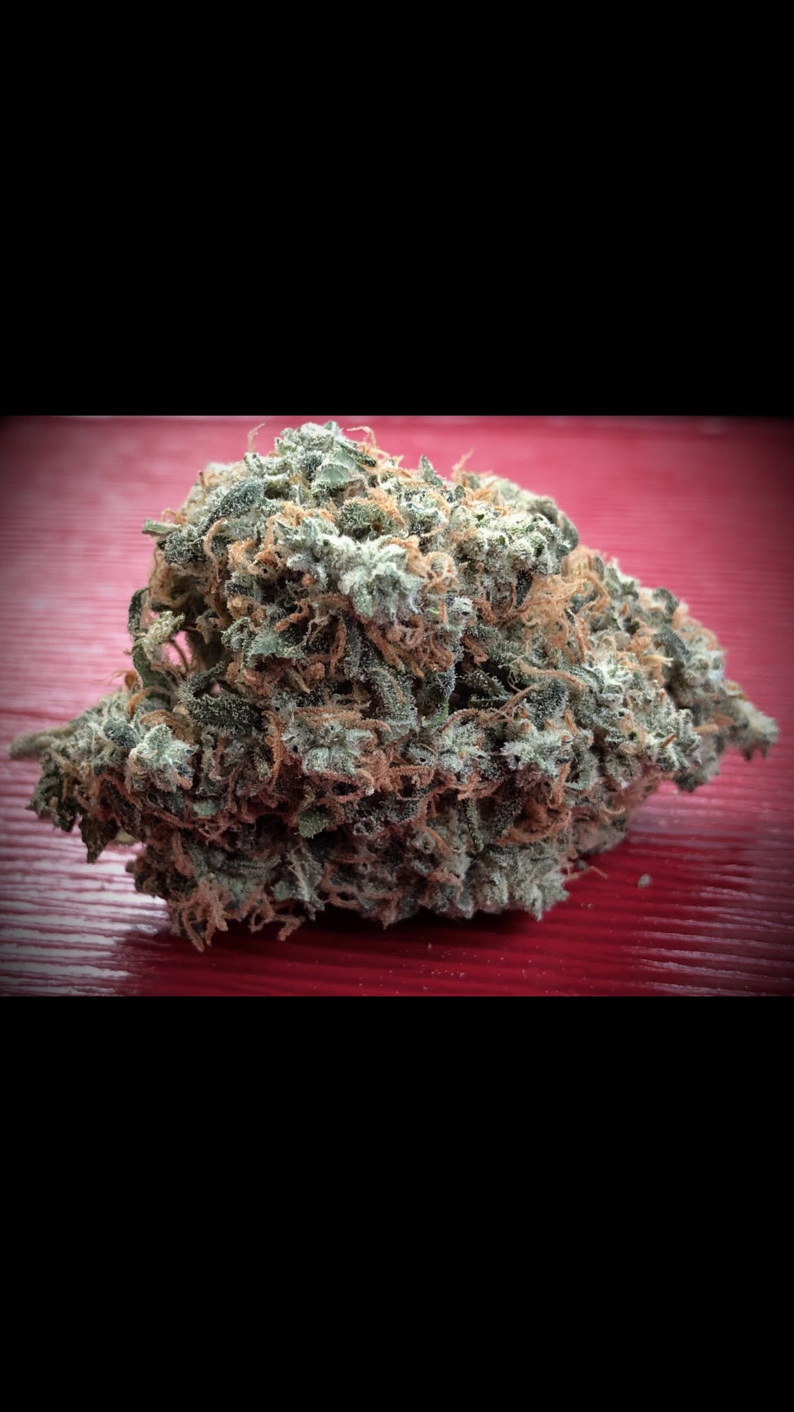 Orange Cookies