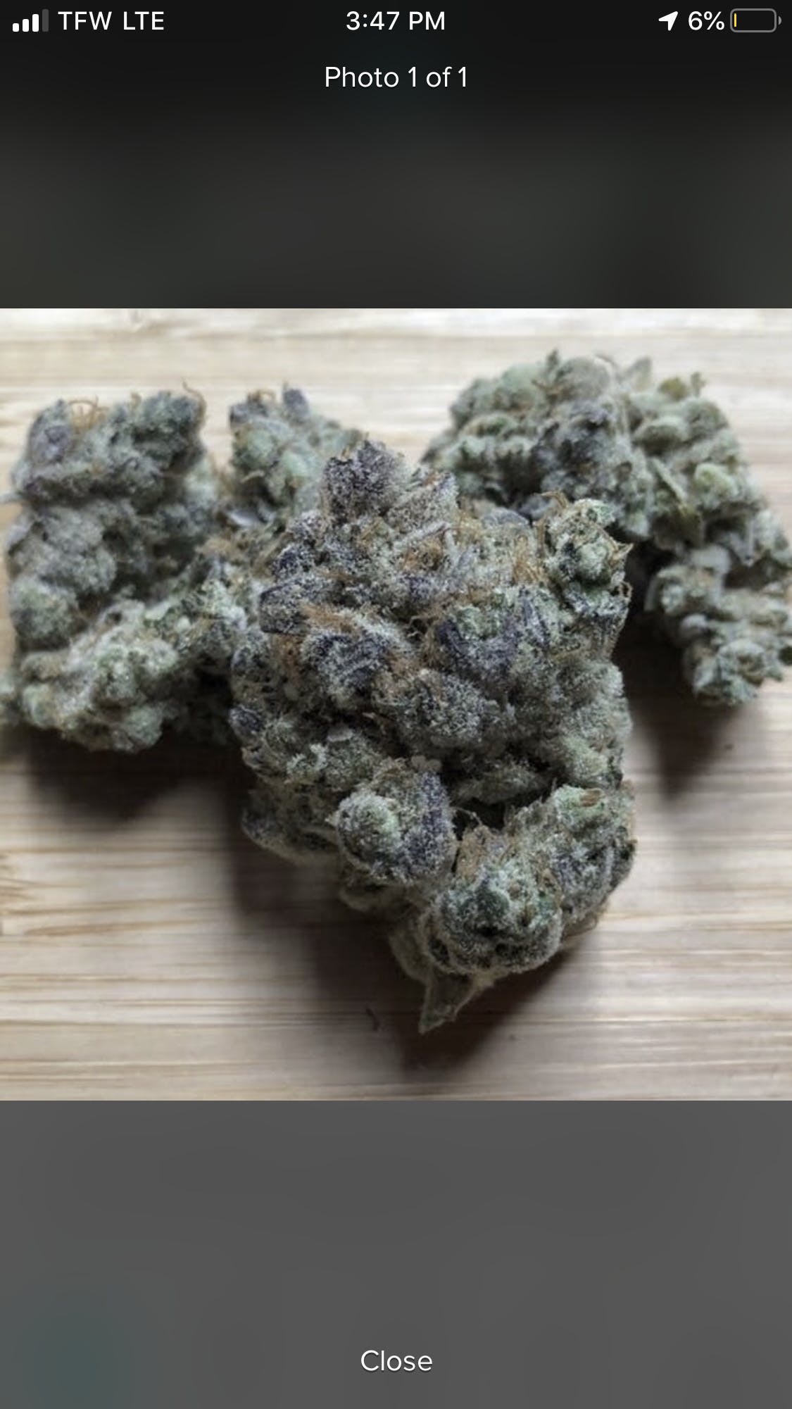 GMO (Coming Soon!!)