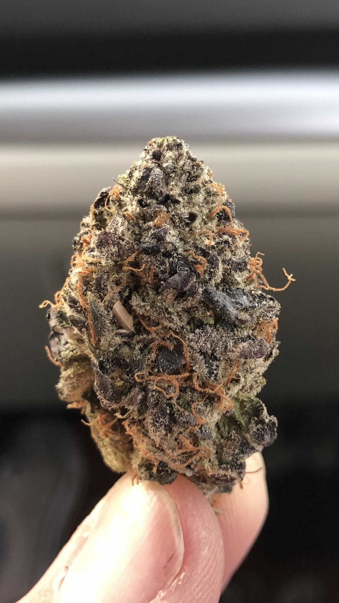 Blackberry Kush