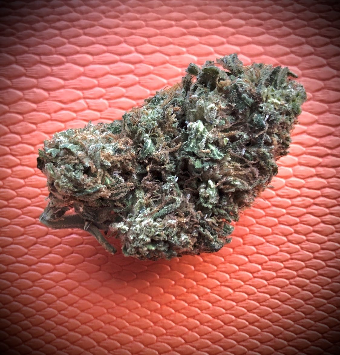 Trainwreck