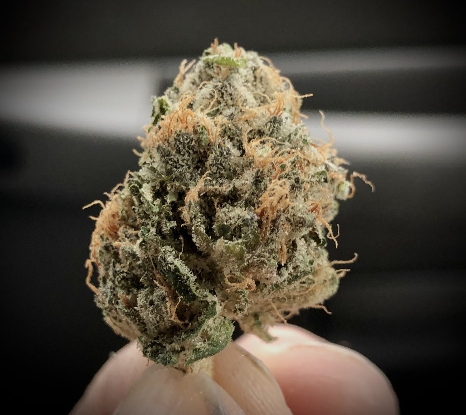 Godfather OG