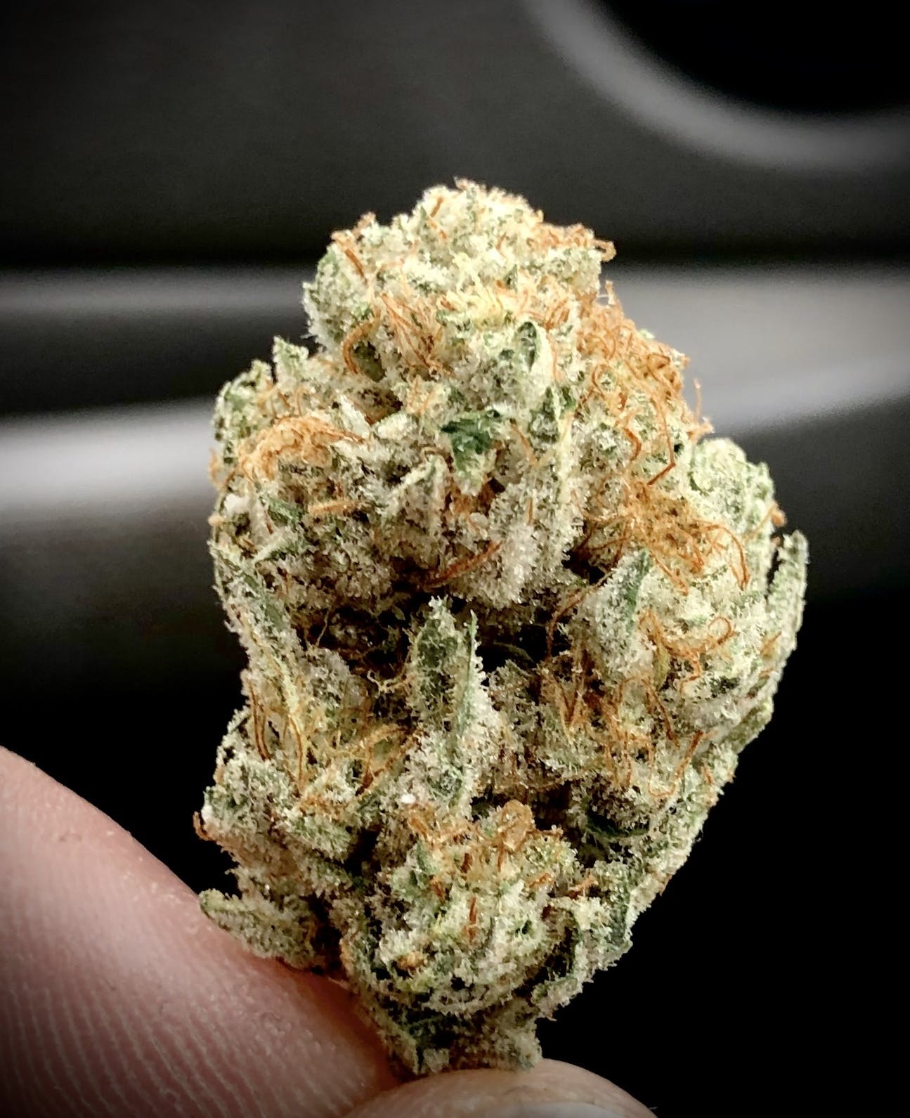 ⚡️ Electric Punch 🥊