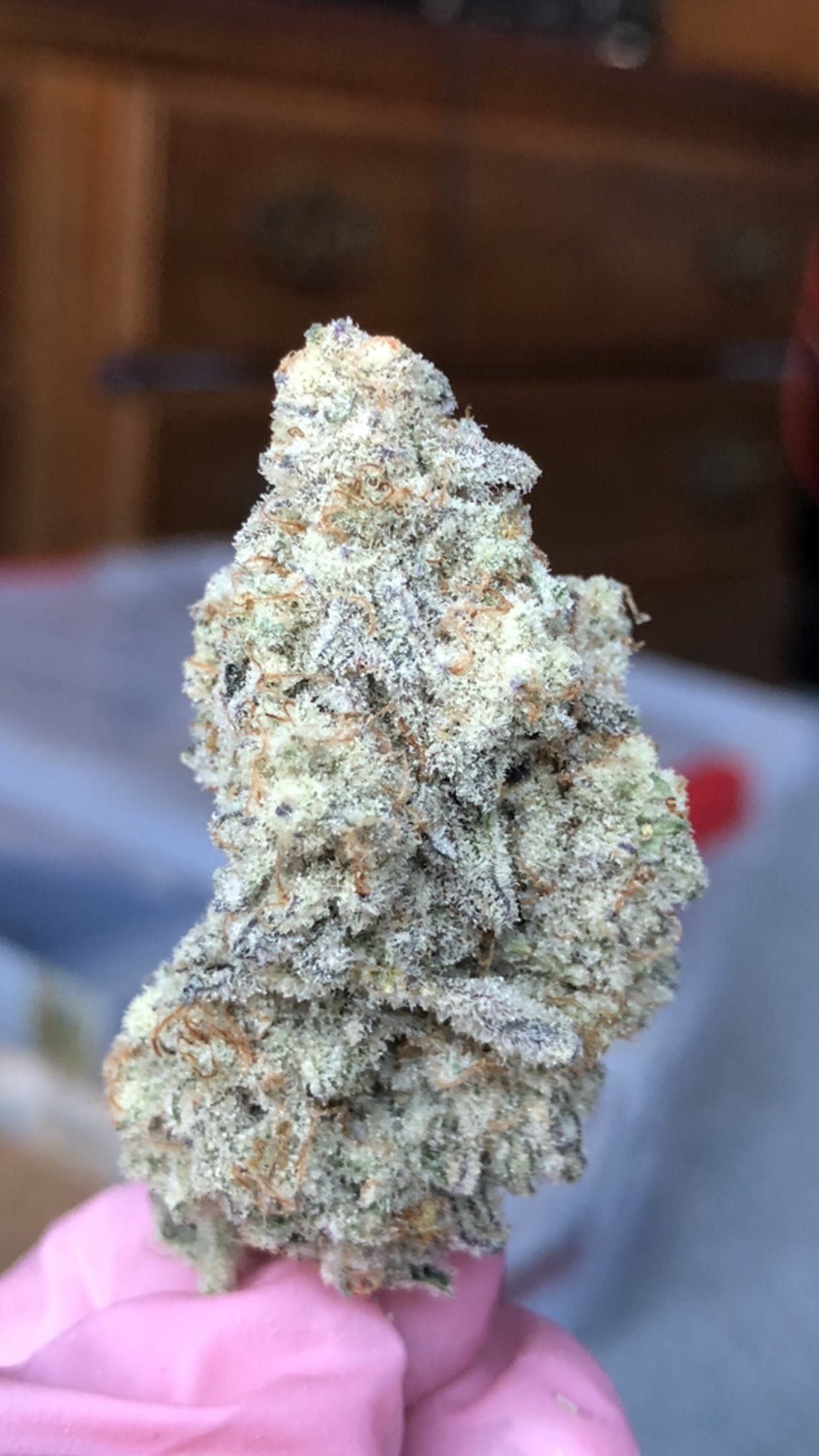 Miracle Alien Cookies