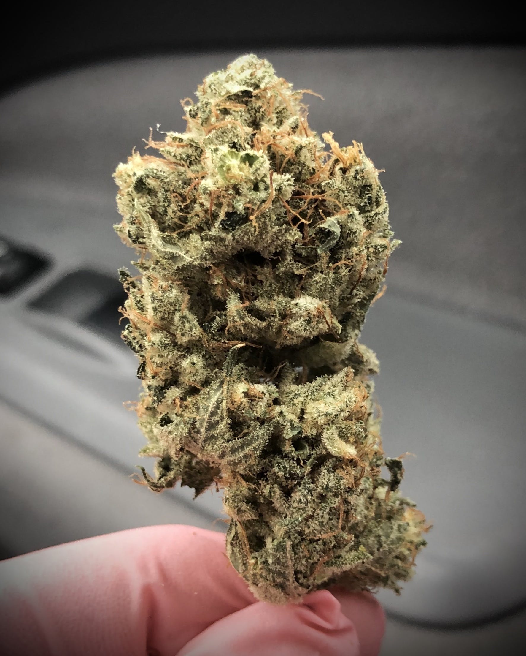 *GG4*