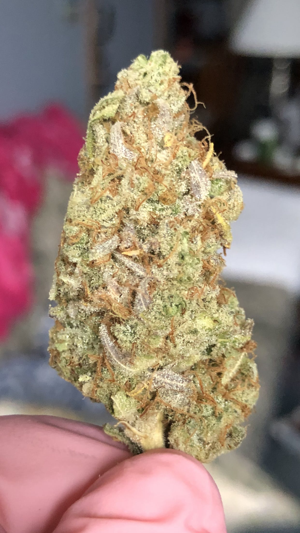 Sour Diesel