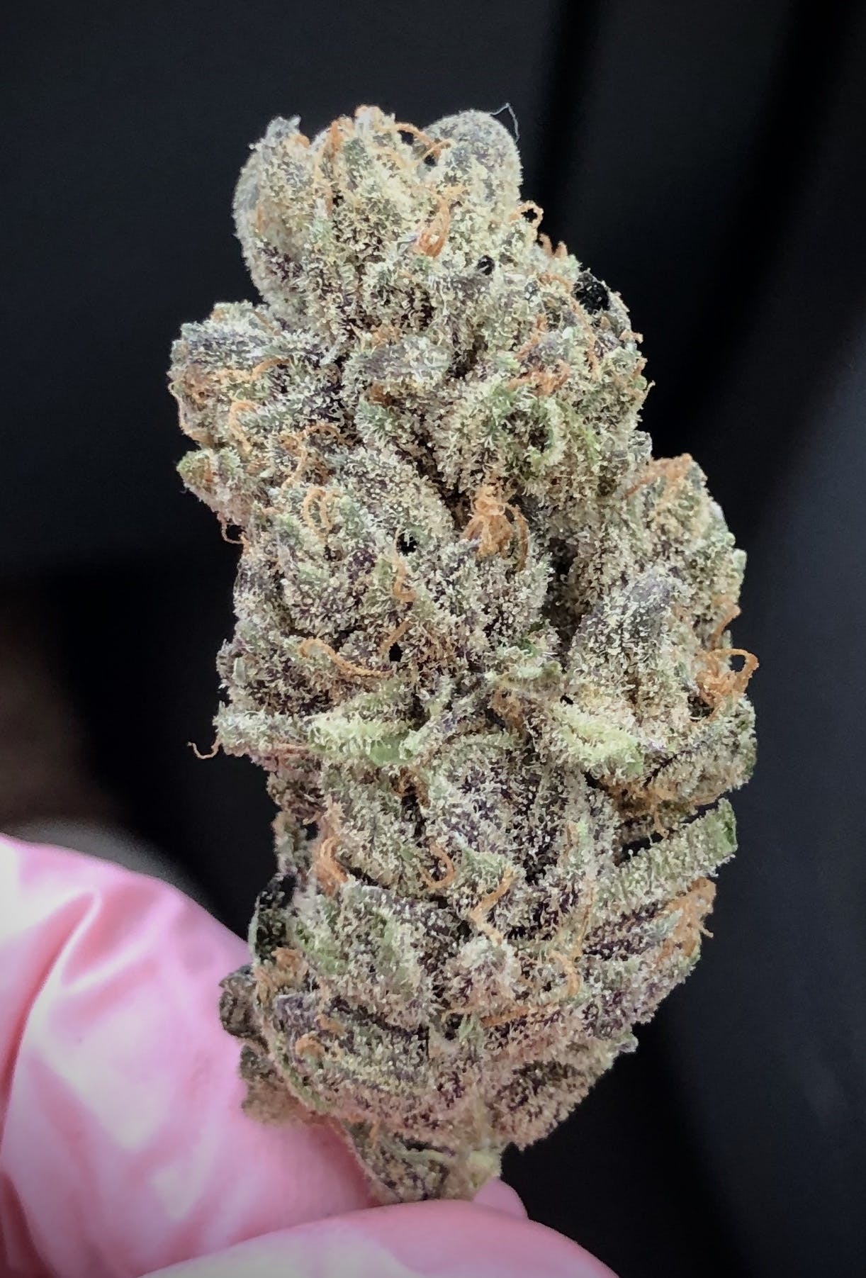 Purple Punch
