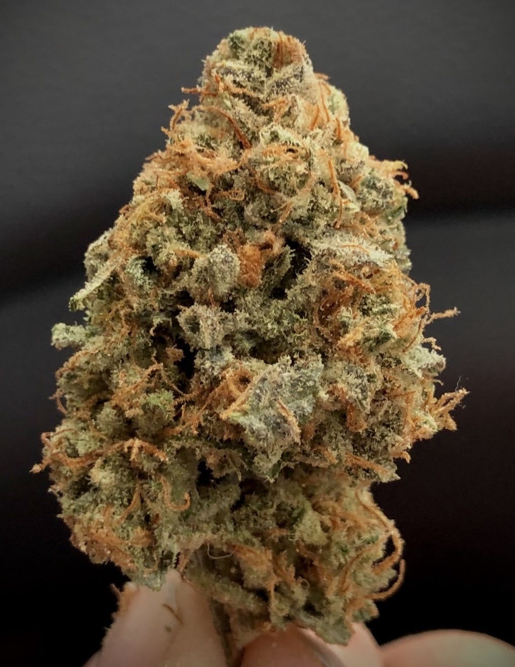 🍊 Agent Orange 🍊