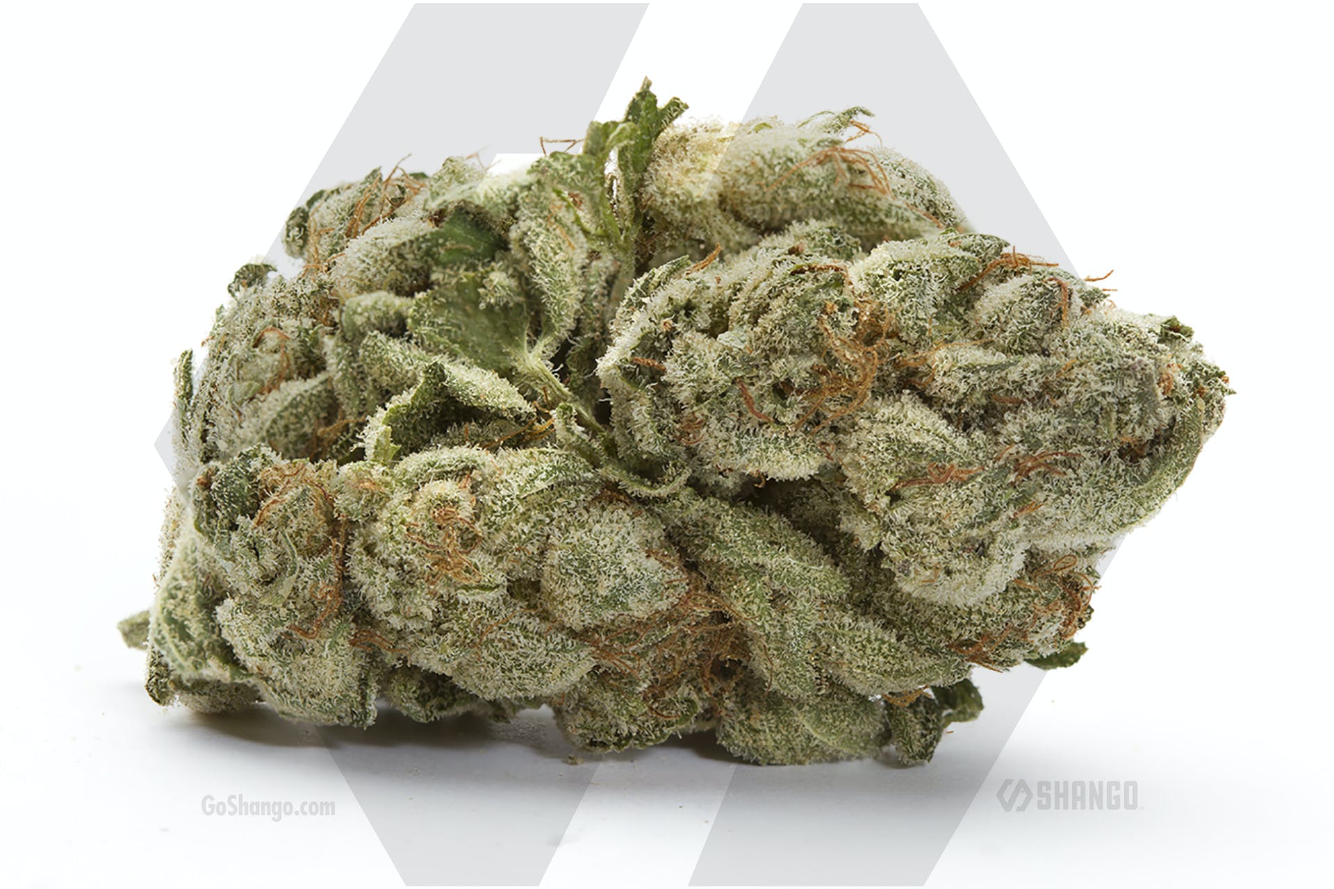 Sticky B
