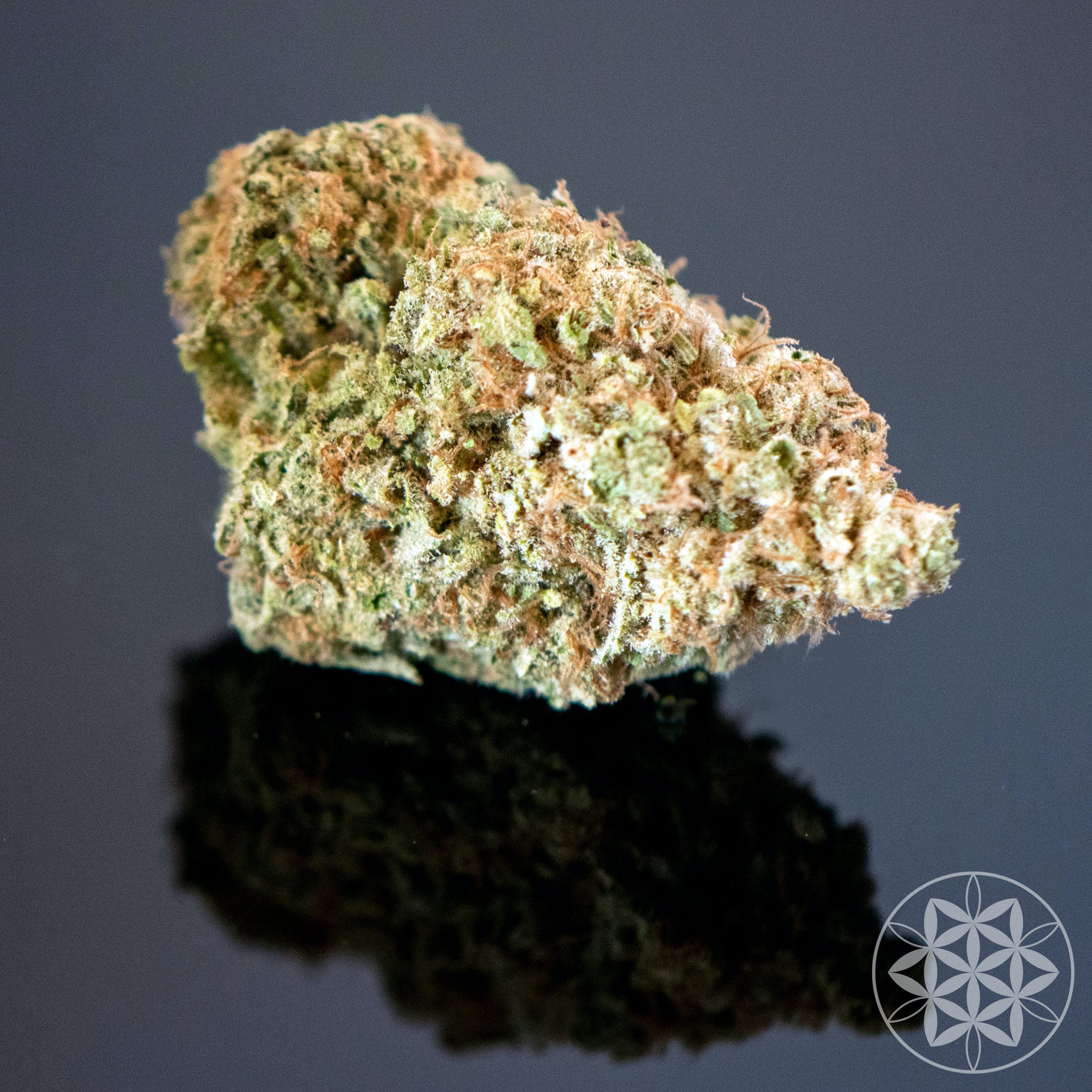 GSC